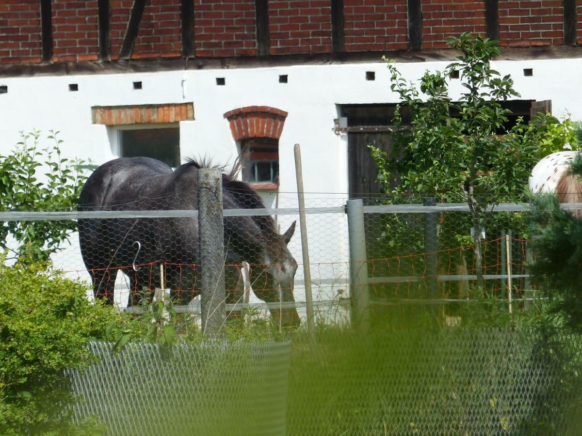 Ferienhaus Arendsee Arendsee  Luaran gambar